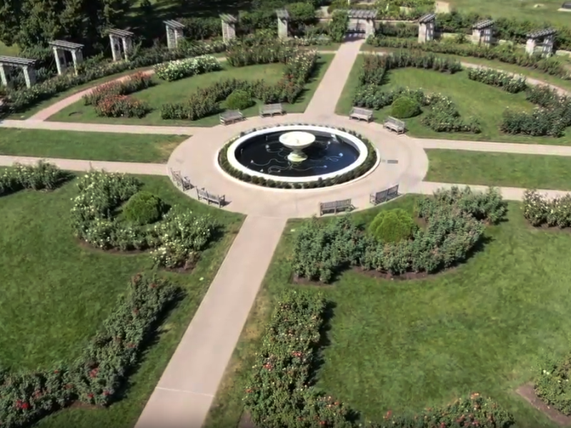 Distant Arial Drone view above the fountain and roses in the Loose Park, Rose Garden in  Kansas City.
