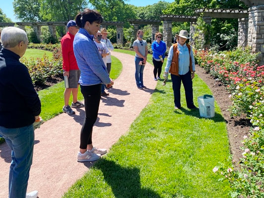 Judy Penner, Consulting Rosarian and Loose Park Director, provides information about pruning the different rose varieties in the garden.