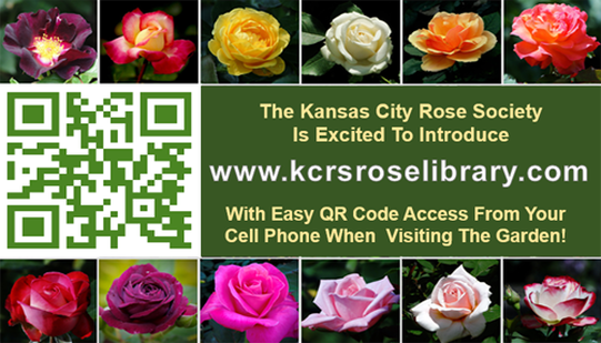 Introductin the Kansas City Rose Society's new Rose Library website. Click to visit now at www.kcrsroselibrary.com