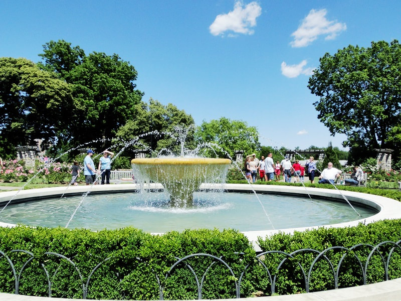 Laura Conyers Smith Municipal Rose Garden in Loose Park, Kansas City, Missouri,  June2020 - park fountain. Photo by Greg German